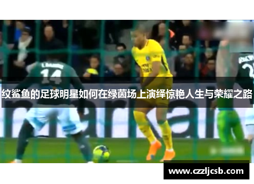 纹鲨鱼的足球明星如何在绿茵场上演绎惊艳人生与荣耀之路